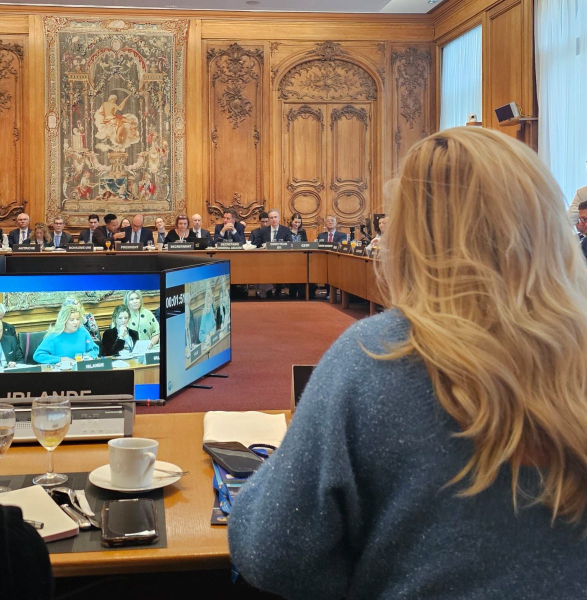 “We must make our #science and #tech policies fit for purpose and leave no one behind, e.g. when allocating funding to emerging technologies such as #AI” - Minister of Higher Education, Science & Innovation of Iceland 🇮🇸 @aslaugarna at the #OECD #CSTPMinisterial2024 this morning