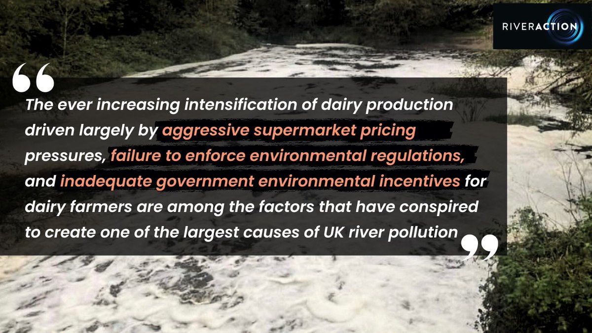The increasing intensification of dairy production driven by: ⚠️Aggressive supermarket pressures ⚠️Failure to enforce enviro-regulations ⚠️Inadequate incentives for dairy farmers have created one of the LARGEST causes of UK river pollution Read more ➡️ bit.ly/River-Action-D…