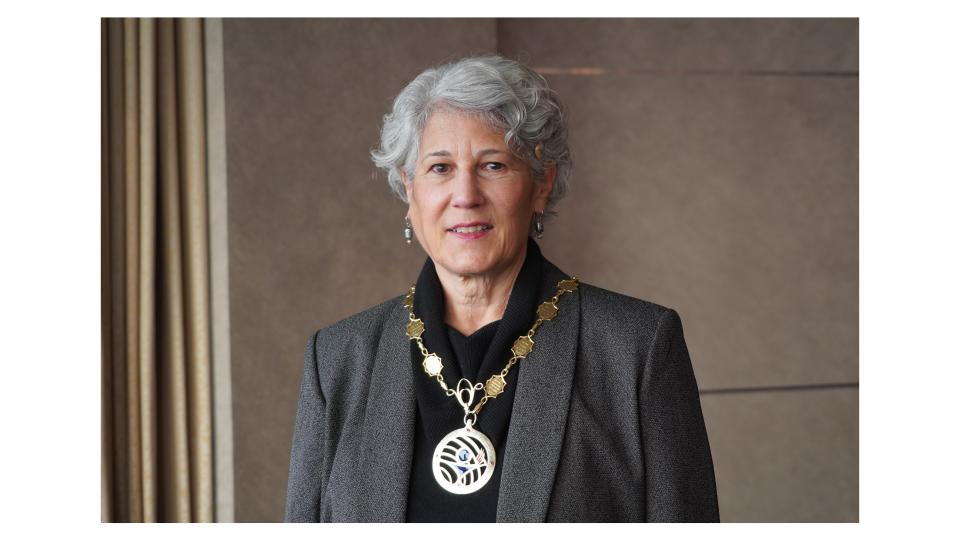 ICN is proud to celebrate our President <a href="/PamCiprianoRN/">PamCipriano</a> as co-chair of the <a href="/UHC2030/">UHC2030</a> steering committee as the global #nursing and #healthcare workforce are vital in achieving #UHC!