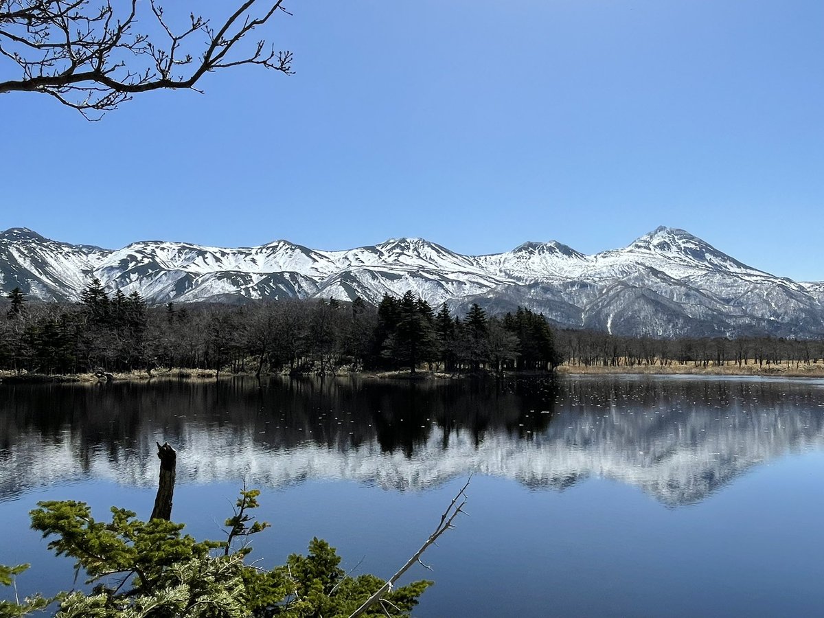 今日は朝から知床五湖に行きました。
昨日の天気とは打って変わって快晴！
知床連山もくっきりの最高の天気となりました。
#知床 #世界遺産