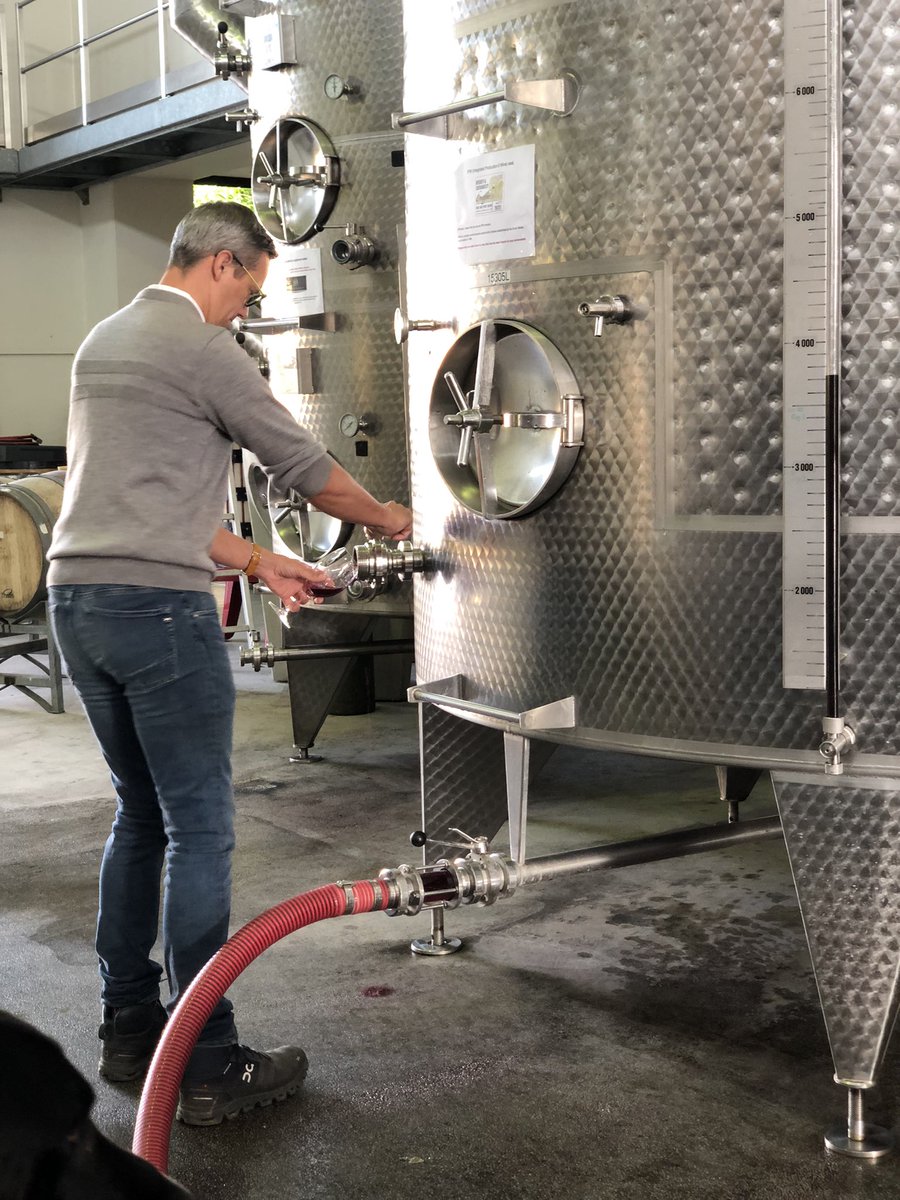TsepangMolisana's tweet photo. Tough morning at the office

Tasting @SauvignonSA in tank and exploring Merlot’s mint magnificence kn the Elgin Valley with @CameronCorney @thewinesamarie and Joris at @Almenkerk 

@InMyKitchenPod 

#Almenkerk
#ElginRoute https://t.co/StLvsmWd3o