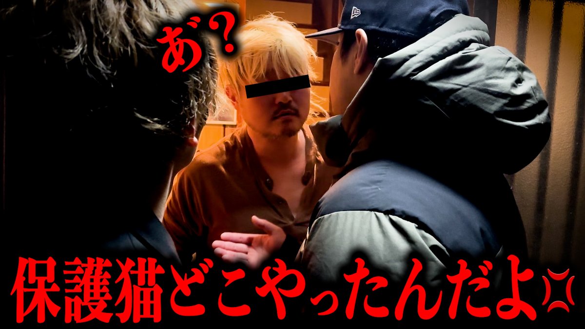 aruaru_Sagishi's tweet photo. Youtube更新しました！！

3ヶ月で6匹の保護猫が失踪した事件。
大阪住吉区の生活保護受給者が、保護猫団体に対して6匹も虚偽申請で引き取った里親詐欺。

ペットを粗末にする人間は許せません。
https://t.co/7m2yBDSi8j https://t.co/wG3Hjl6o4I
