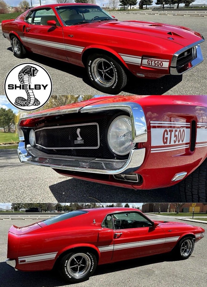 1969 coolness…Shelby GT500…