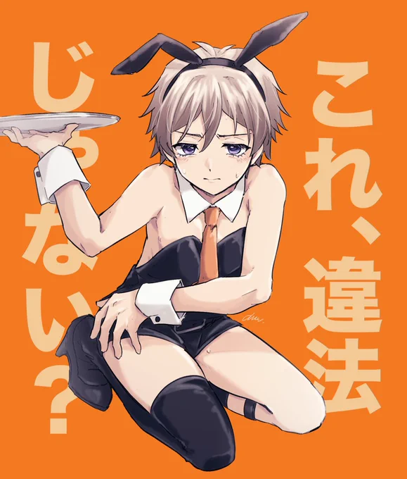 ※バニー 