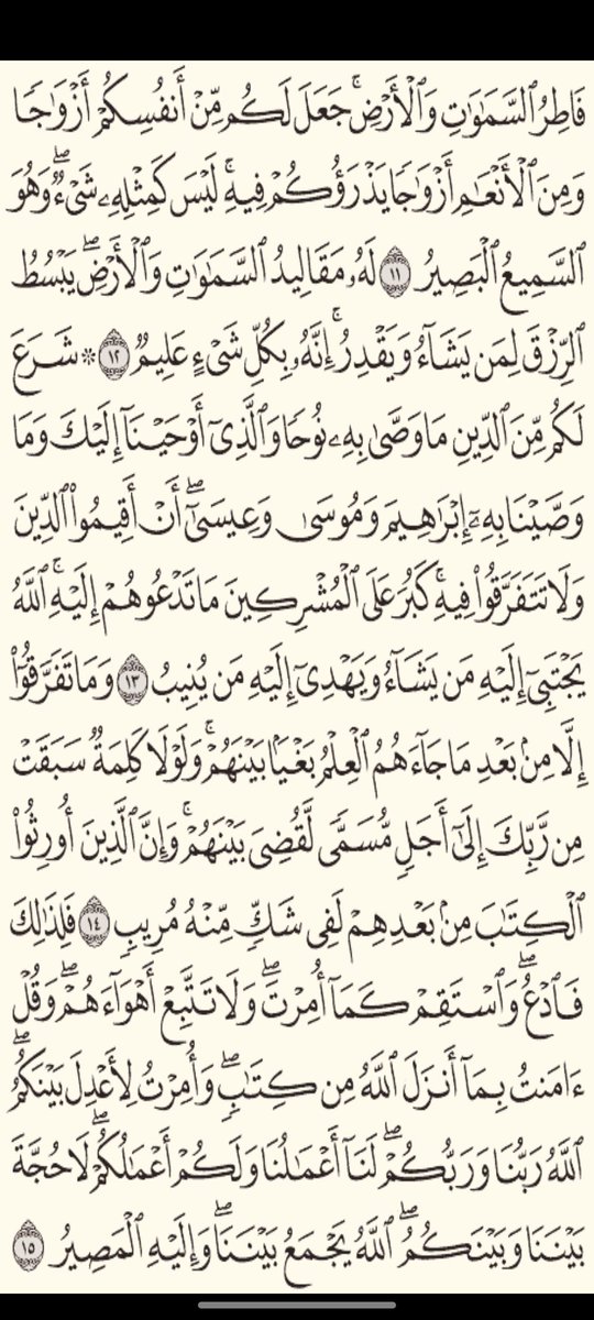EslamMO777's tweet photo. دقيقتين حسنات
ورد الأربعاء ♥️ https://t.co/gTKmnDVFQn