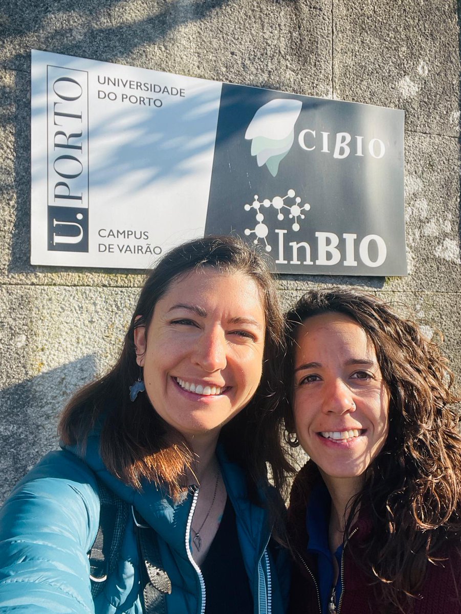 Exploring data from our respective African bat diet studies with @arualentina at @CIBIO_InBIO. Thank you @matavca for guiding us so well! I look forward to telling you more about the role of protected areas in the pest suppression services provided by bats in Madagascar 🦇🌾🦗