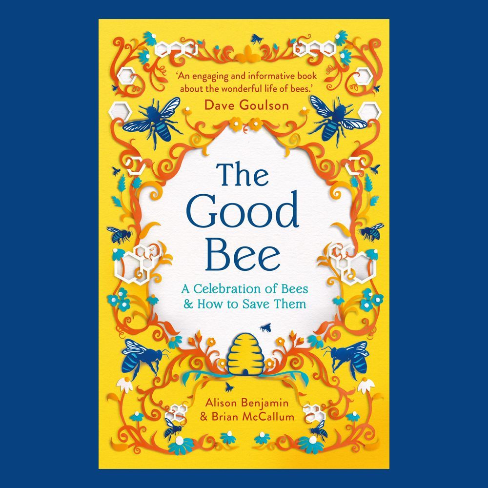 Out now! The Good Bee is a celebration of this most vital and mysterious of nature’s wizards, written by Alison Benjamin and featuring a beautiful decorative cover artwork by Sarah Dennis. 🐝 @alisonurbanbees @OMaraBooks