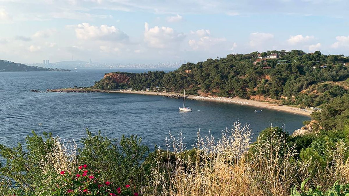 İstanbul’un bir cennet bölgesi daha sermayeye peşkeş çekiliyor❗️Burgazada'da bulunan Martha Koyu'na gidenler bilir. İstanbul'un nefes alabildiği, denizi, ormanı ve eşsiz güzelliğiyle çok özel bir bölgedir. Halkın ücretsiz denize girebildiği, yakın zamana dek kamp yapabildiği…