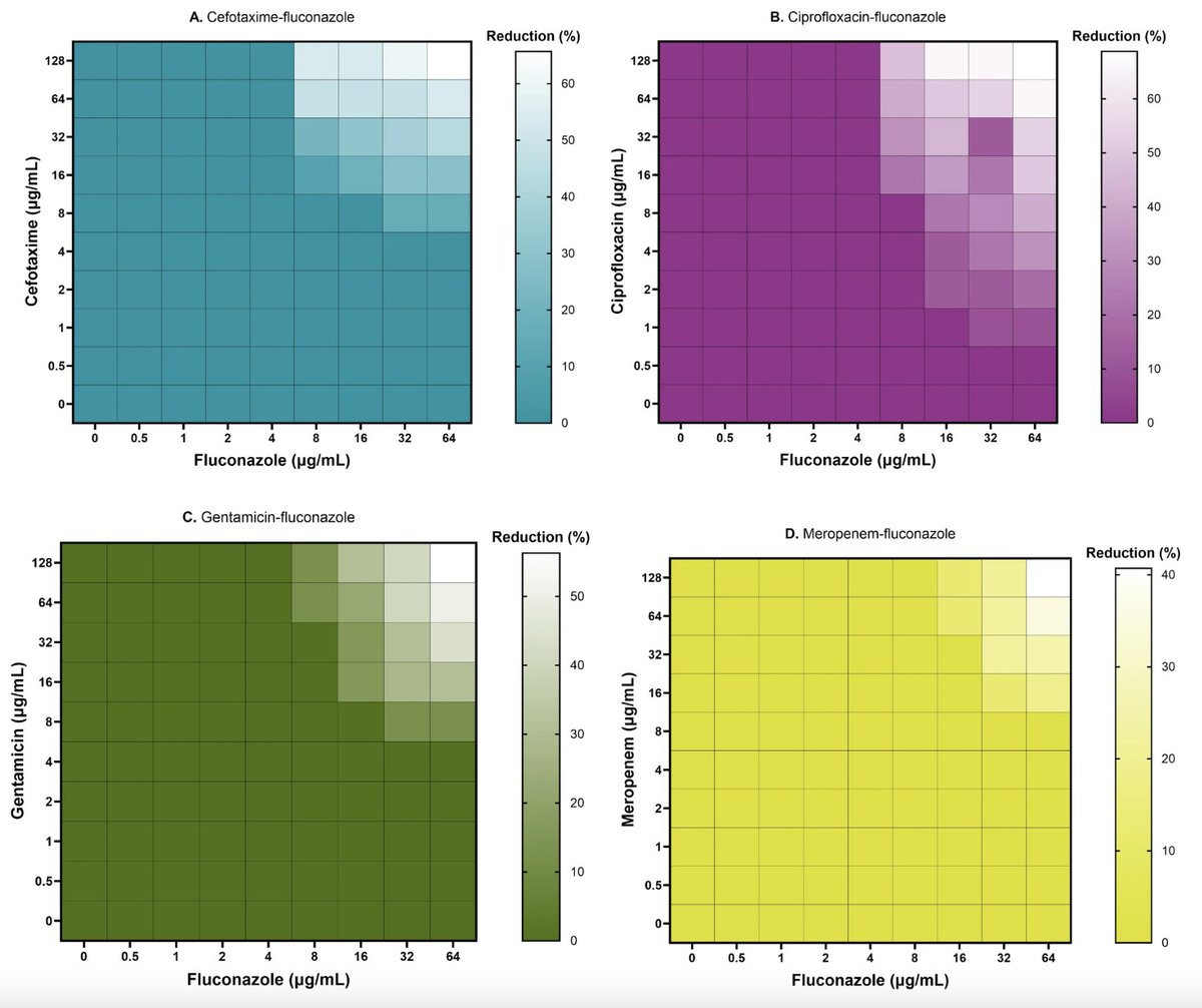 Sebastian Leptihn tweet media