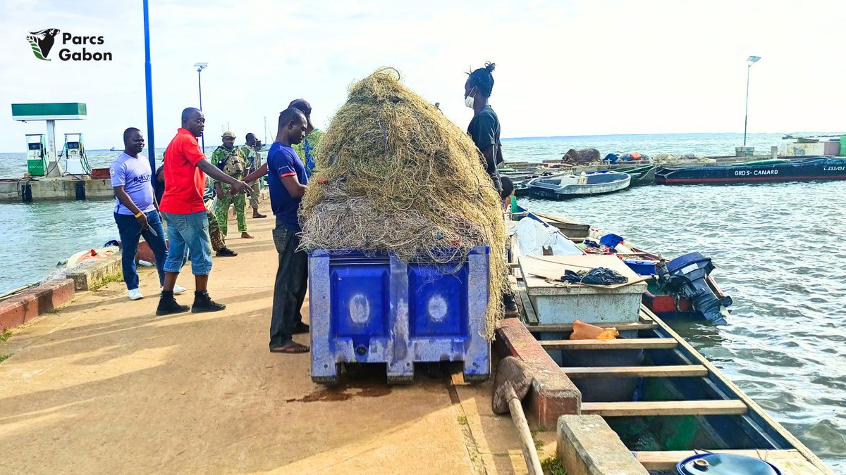 Parcs_Gabon's tweet photo. 🚨 Grâce à notre équipe du #Parcnational de #Pongara, 4 pirogues opérant illégalement dans le parc marin de la #PointeDenis ont été interceptées. Du matériel de pêche illégal a été saisi, démontrant notre engagement envers la préservation de notre écosystème marin. #ANPN https://t.co/sgrPrYYPDc