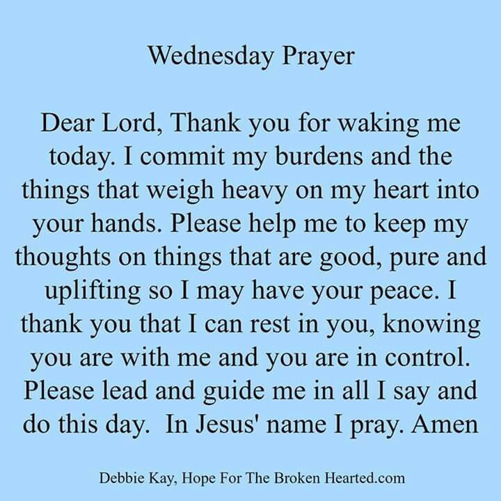 Good morning @412_patriot @AuntCinnamon @ElleCollins73 @ReedTimmerUSA @tgradous @The_Real_Feisty @rebeccaOden1 @RealDrGina @gracy69epixnet @Meowshallah1 @JaxBeachLady222 hope y'all have a wonderful Wednesday. God is good all the time 🙏