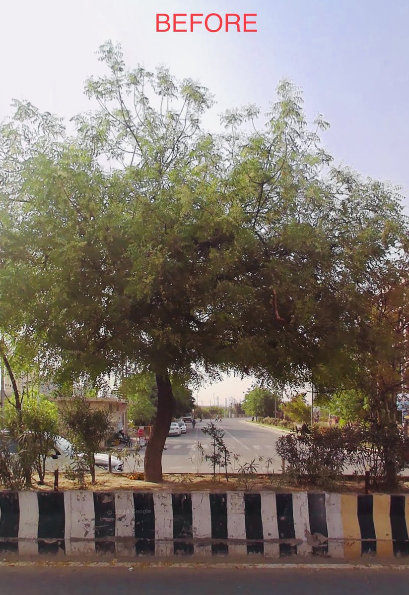 vikranttongad's tweet image. 🌳Noida #TreeCutting issue, #FIR 
lodged! 
The recent incident of cutting neem etc. trees in Noida Sec. 137 without NOC for a U-turn construction highlights the carelessness of Noida Authority's horticulture and civil departments. It's regrettable this occurred on #Earth Day.