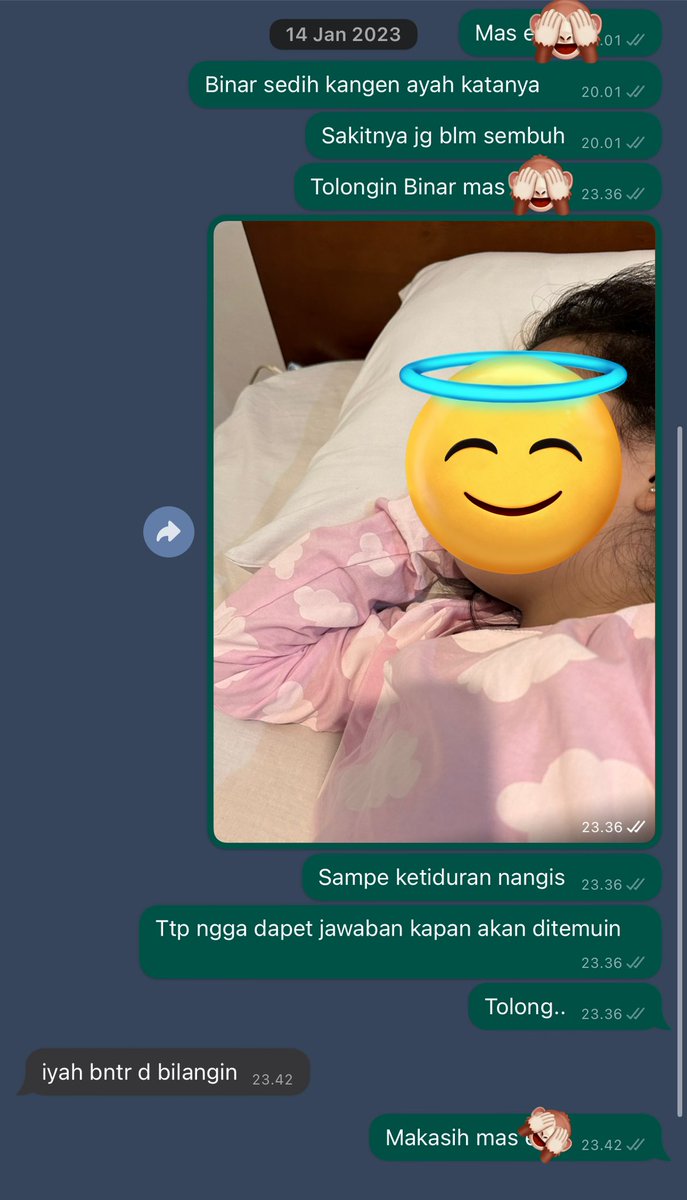 Annisa N. Thaib tweet media
