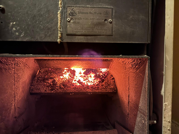 Guild of MCS tweet media