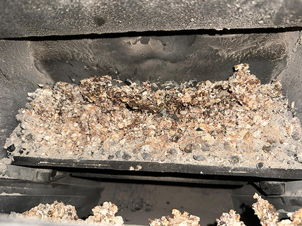 Guild of MCS tweet media