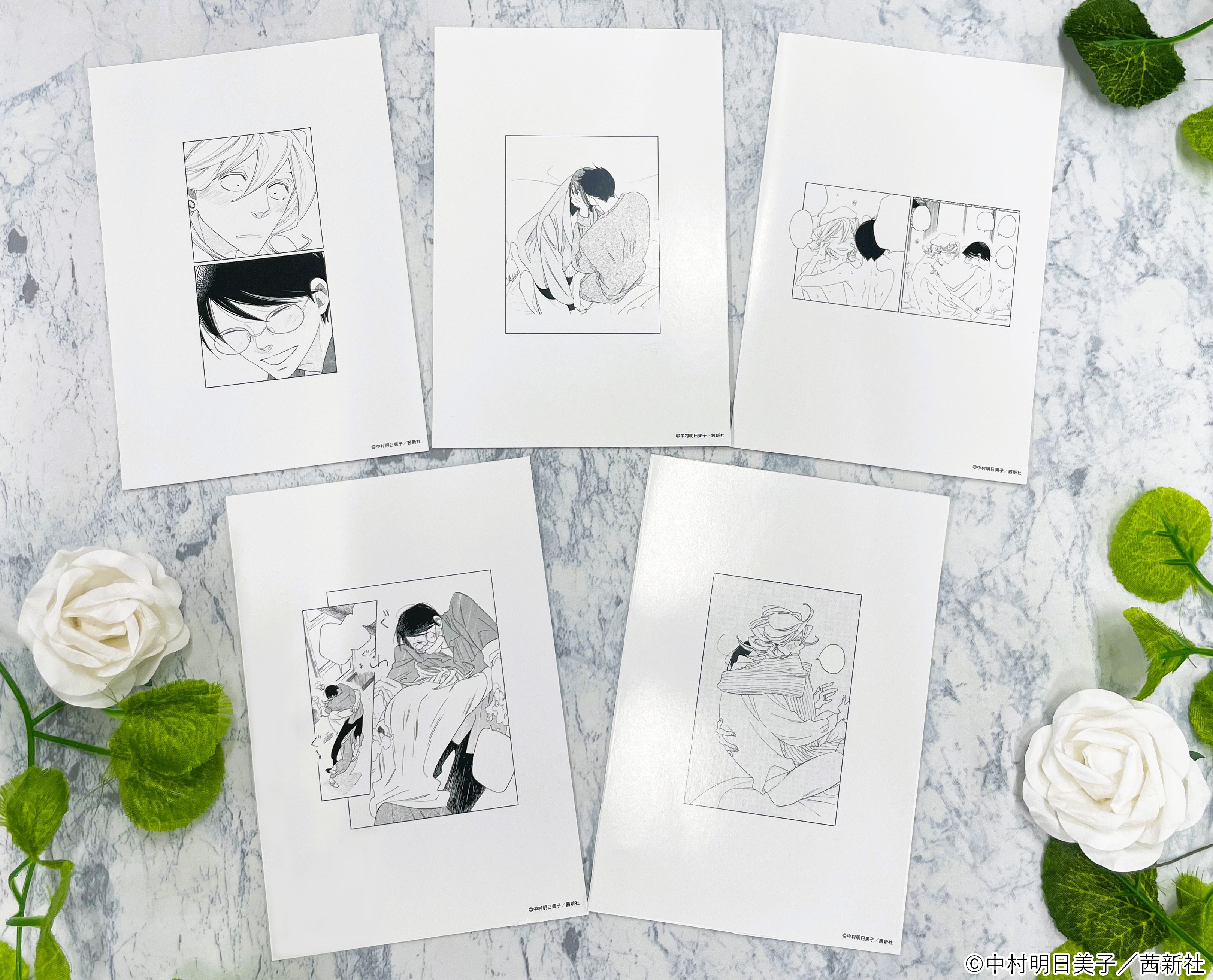 同級生シリーズ POP UP SHOP クリアカード セット マルイ 同級生シリーズ POP UP SHOP クリアカード セット マルイ 同級生