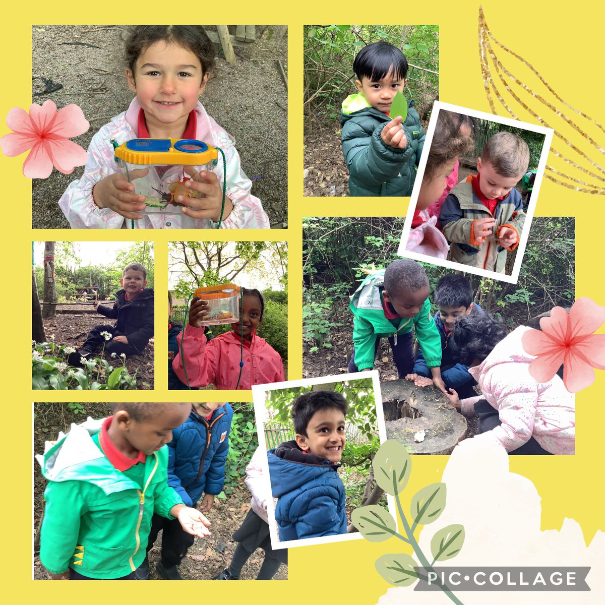 SJLCARDIFF's tweet photo. 🐛🍃🦋 In #Nursery we’ve been learning about the life cycle of a butterfly 🐛🍃🦋 We’ve been to the forest this morning on a caterpillar hunt 🦋🍃🐛 #ScienceInAction #ForestSchoolSJL #ExploratoryPlay @sjlcardiff https://t.co/uSoPjp3MPr