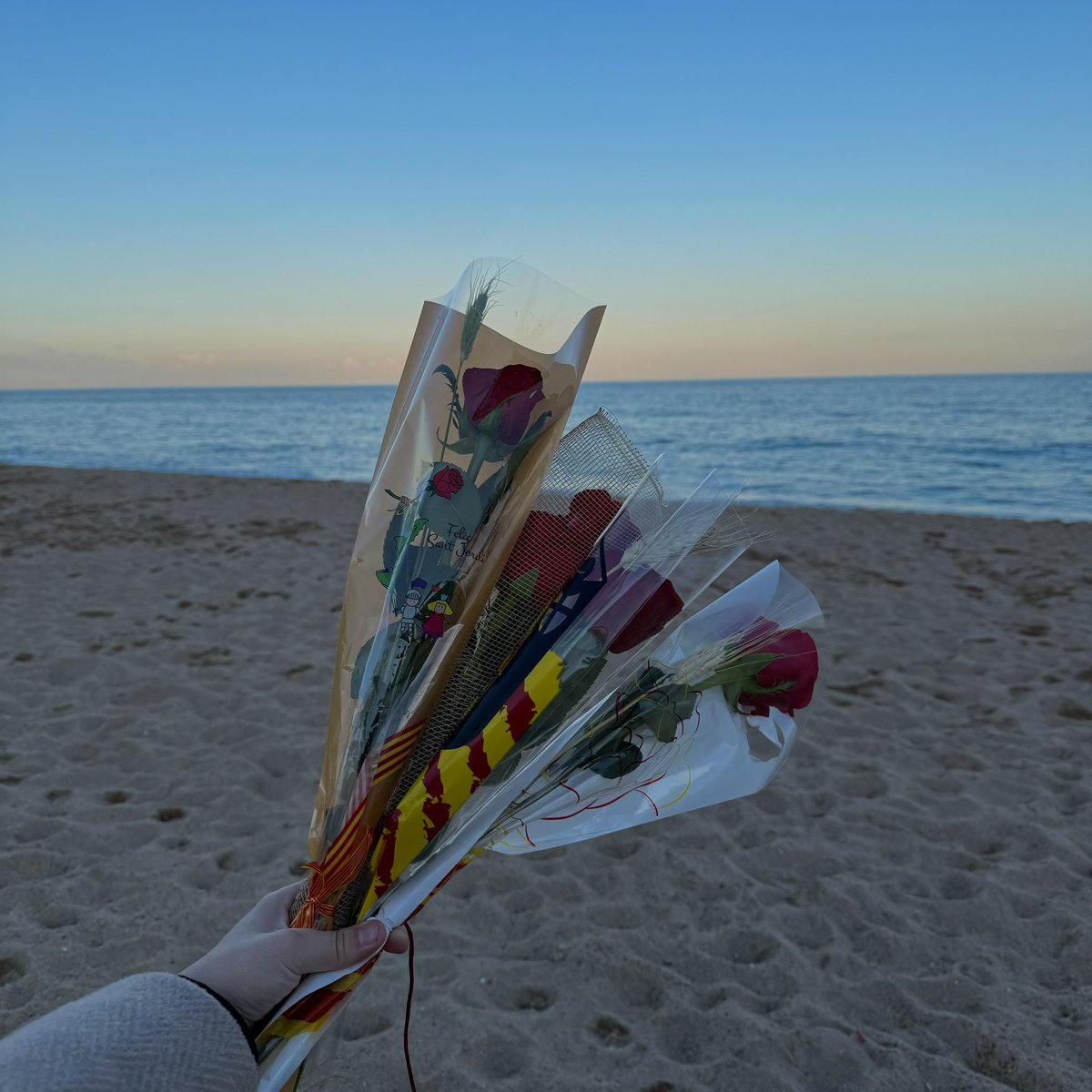 Anna Roig tweet media