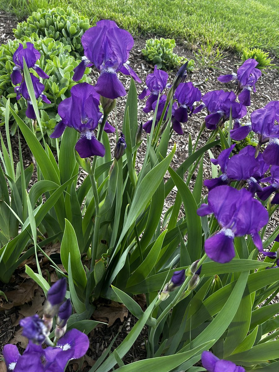 A reminder to stop and smell the flowers☀️ #present #Mindfulness #leadership