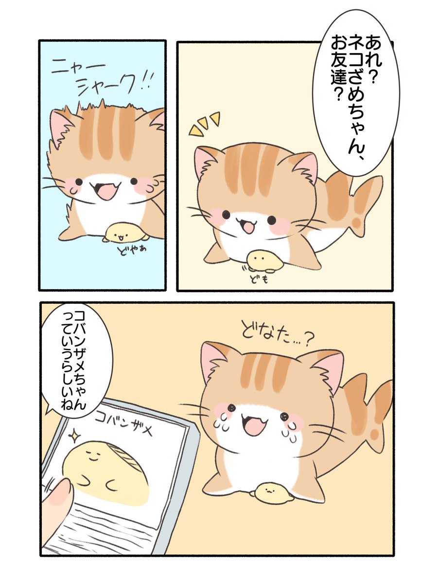 ネコざめちゃんのお友達? 