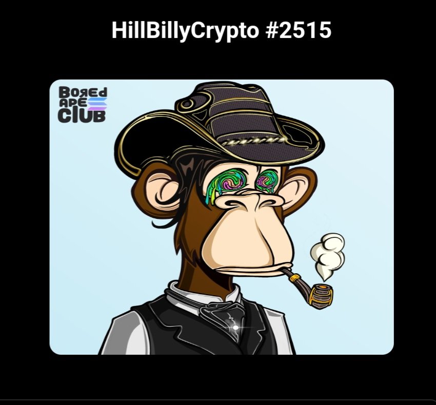 HBCWeb3's tweet image. Rebuilt through the bear 🐻
Has continued building in the bull 🐂

DAOs adding value to #BASC 
#RoboRevolution
#ZombieDao
#JungleDao
#MediaDao
#BeamsJacketsDao
#SolarDao
There is a home for everyone @BoredApeSolClub ❤️
Successful launch of their token $BASC 📈
@dak_daze has done…