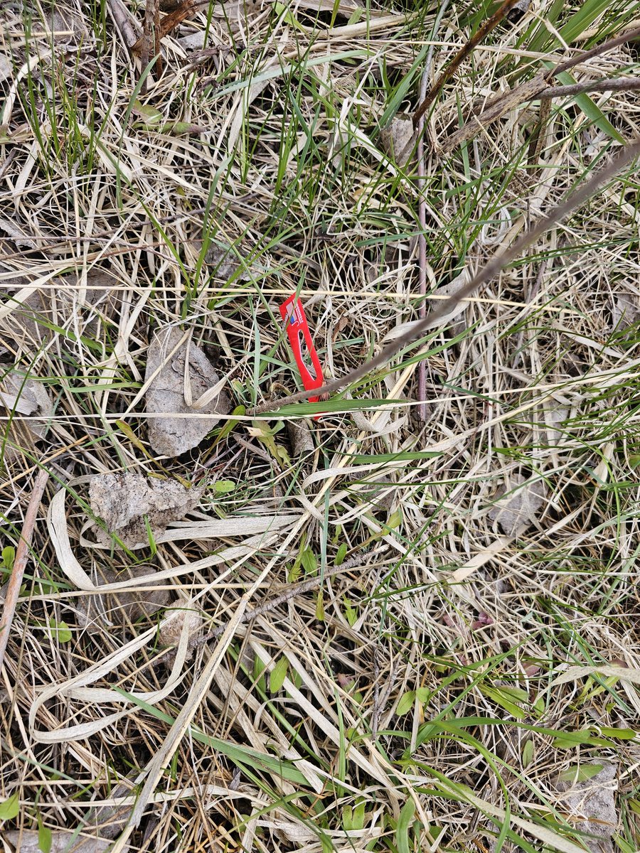 MonthlyEarthDay's tweet photo. Time to post my #touchplastic for @petgasmx!

Everyone get out and be impactful! 😉

@chiefskngdmKCMO @chiefmwankenja @GreenpillDenver https://t.co/7XiPNDCxhT