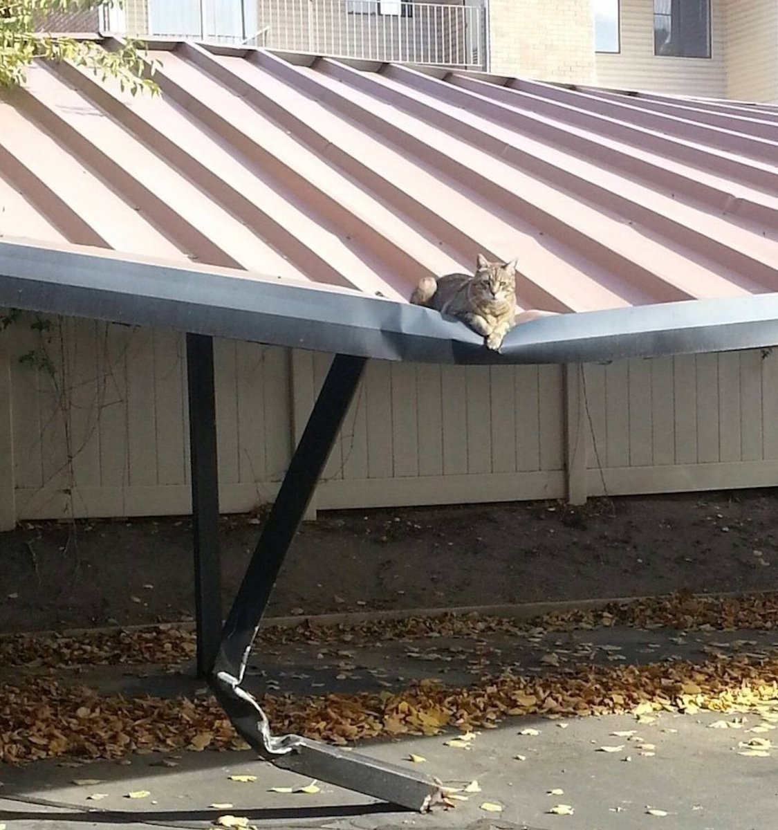 Daily reminder: correlation is not causation