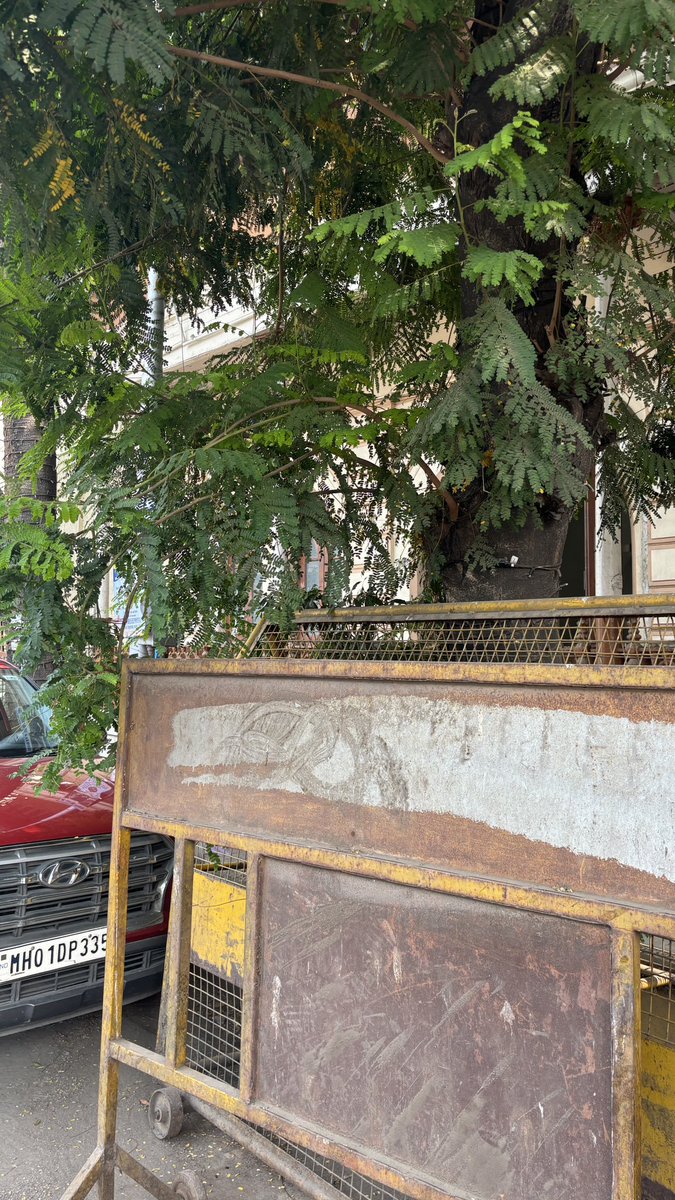 Trees require some trimming…. Firstly they spoil the look and branches are coming on the road. Request you to consider this request at the earliest. 

@mybmc @MumbaiNCP @Malbarhill_NYC