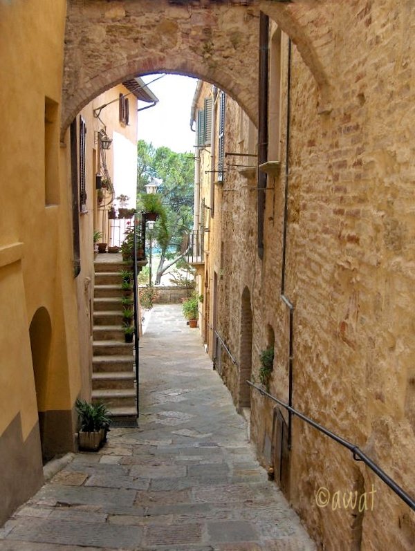 #photography
#photo #foto
#fotografia
#street #streetphotography #streetphoto #urbanphotography 

Montepulciano (Siena)