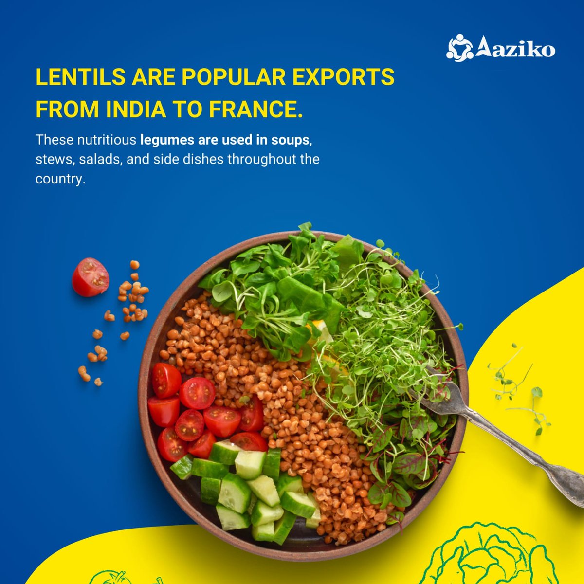 French people LOooooVE Indian Imports!
Lentils make the list as well.
India's export of lentils to France is a significant aspect of the bilateral trade relationship between the two countries.#internationaltrade #globalbusiness #export #franceexport #exportenfrance #madeinindia