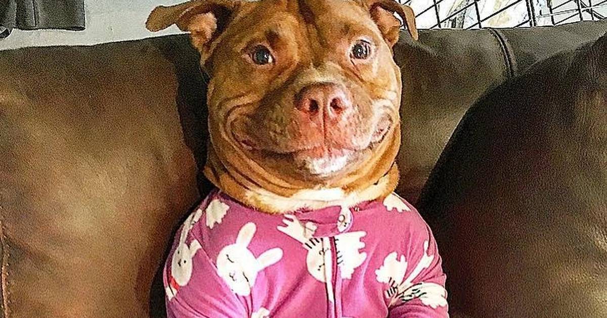 Goodboy_on_Base's tweet photo. me rn https://t.co/XCakPOz0tU