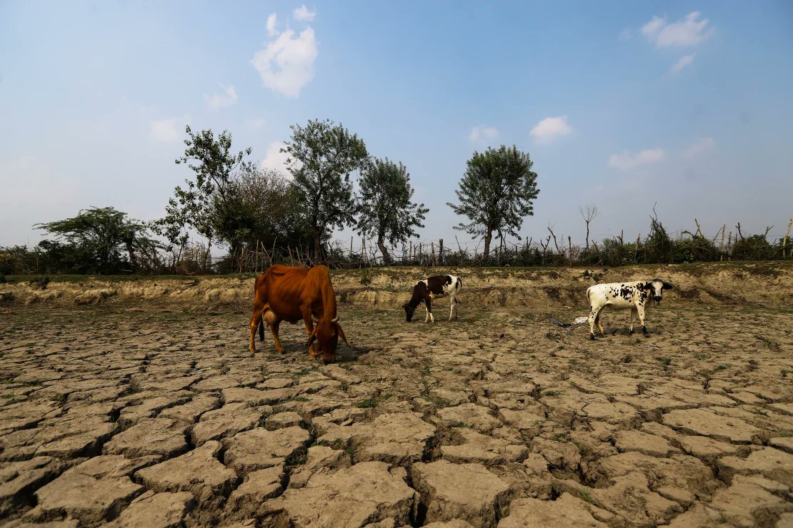 In @CNN, @aditya_vpillai wrote: Climate impacts do shape voter demands — though this tends to filter through as anxieties about livelihood and continued welfare support, rather than in a neatly defined area of politics labeled “climate.” edition.cnn.com/2024/04/19/opi…
