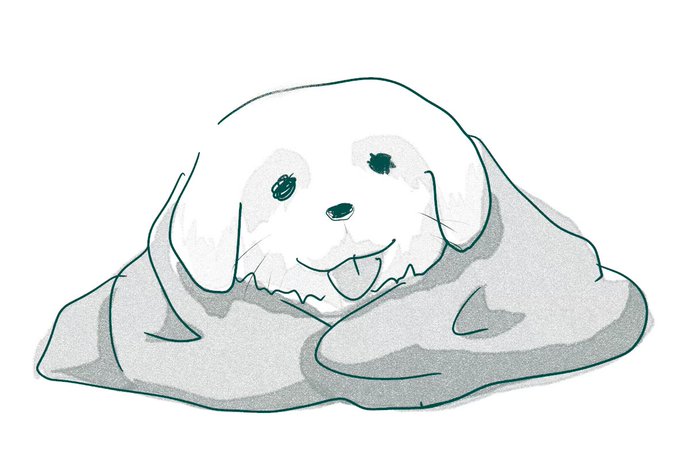 バーシャさんの犬⁽¨̮⁾ 