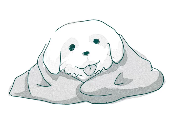 バーシャさんの犬⁽¨̮⁾ 