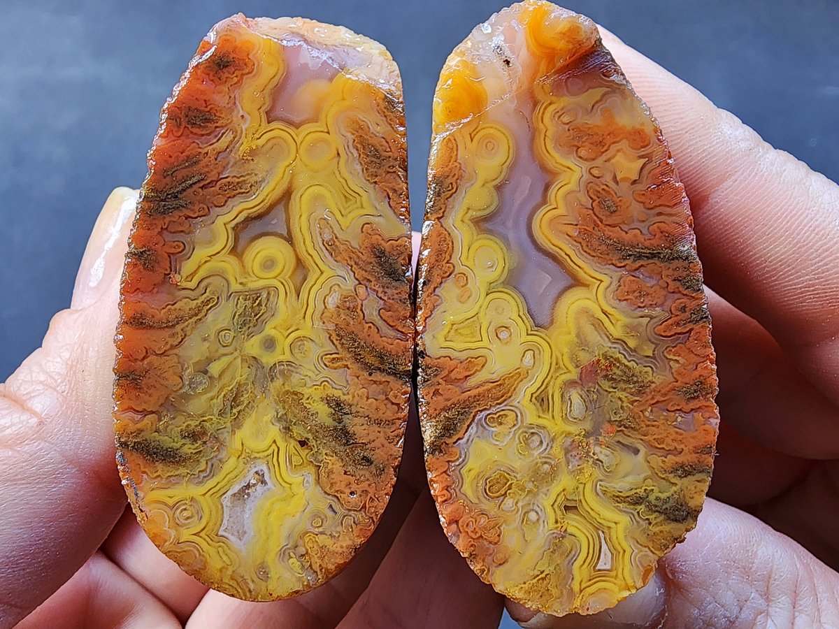 Fortification Yellow Agate
#agate #Crystal #NatureWonders #mothernature #achat #agata #healingstone #agatecollector #Collectibles #geology #photographer #artofnature #adventure_spirit #adventuretimefanart #lapidary #lapidaryart #yellowstone #yellowagate #Macro