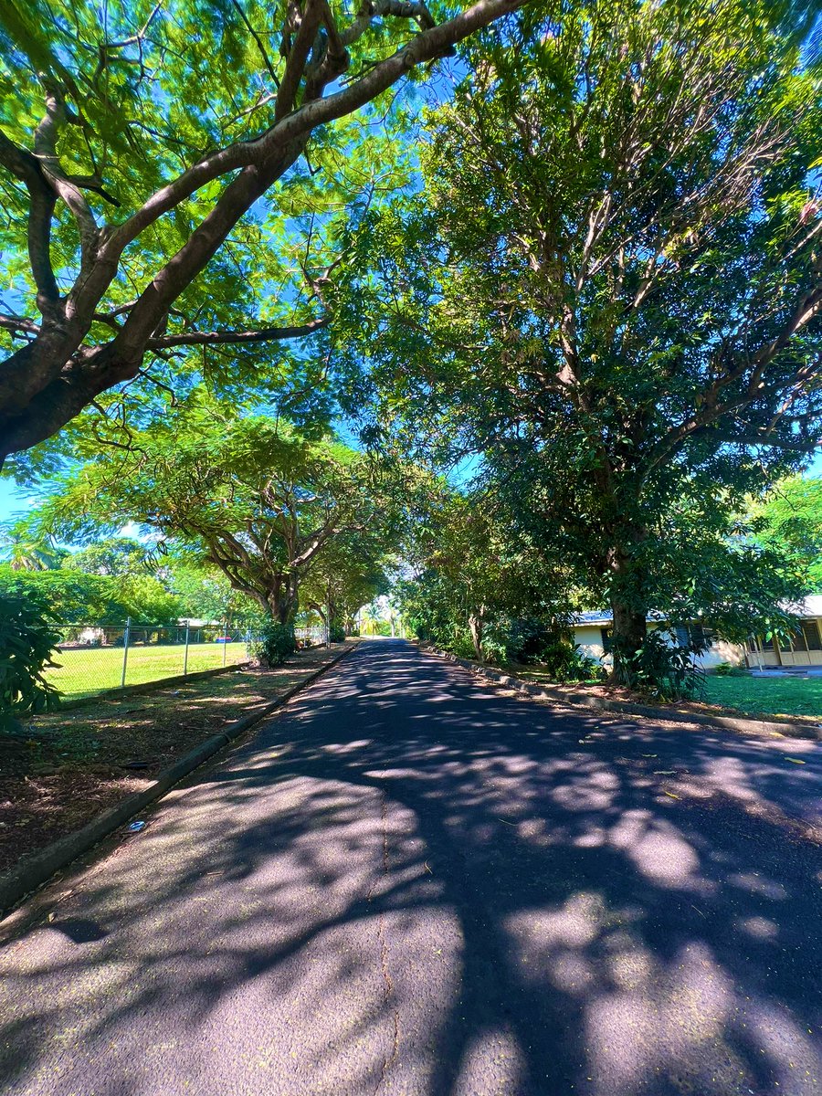 It took a bug to slow me down today & to get me out of the house & beast to appreciate a stroll up the road! Realized that it’s been a “hit the road running” … gotta do a lot more self care now 🤦‍♀️ … here’s what Wellington Dr looked like this afternoon 🤙 #Namaka #CAAFCompound