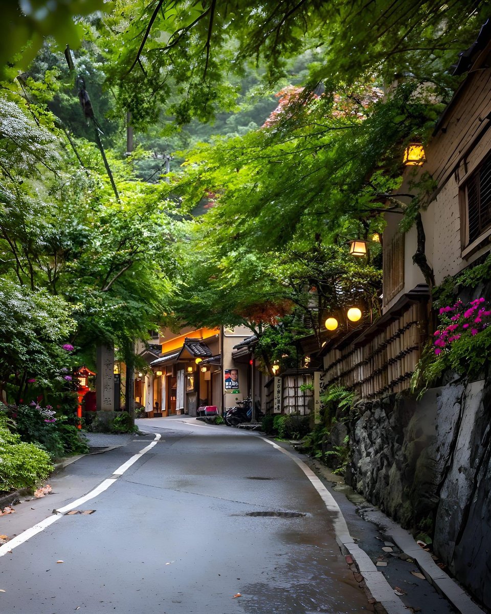 Kyoto Japan 🇯🇵