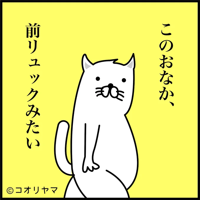 前リュックが話題ですが、今度から凹ませるよう努力します…! 