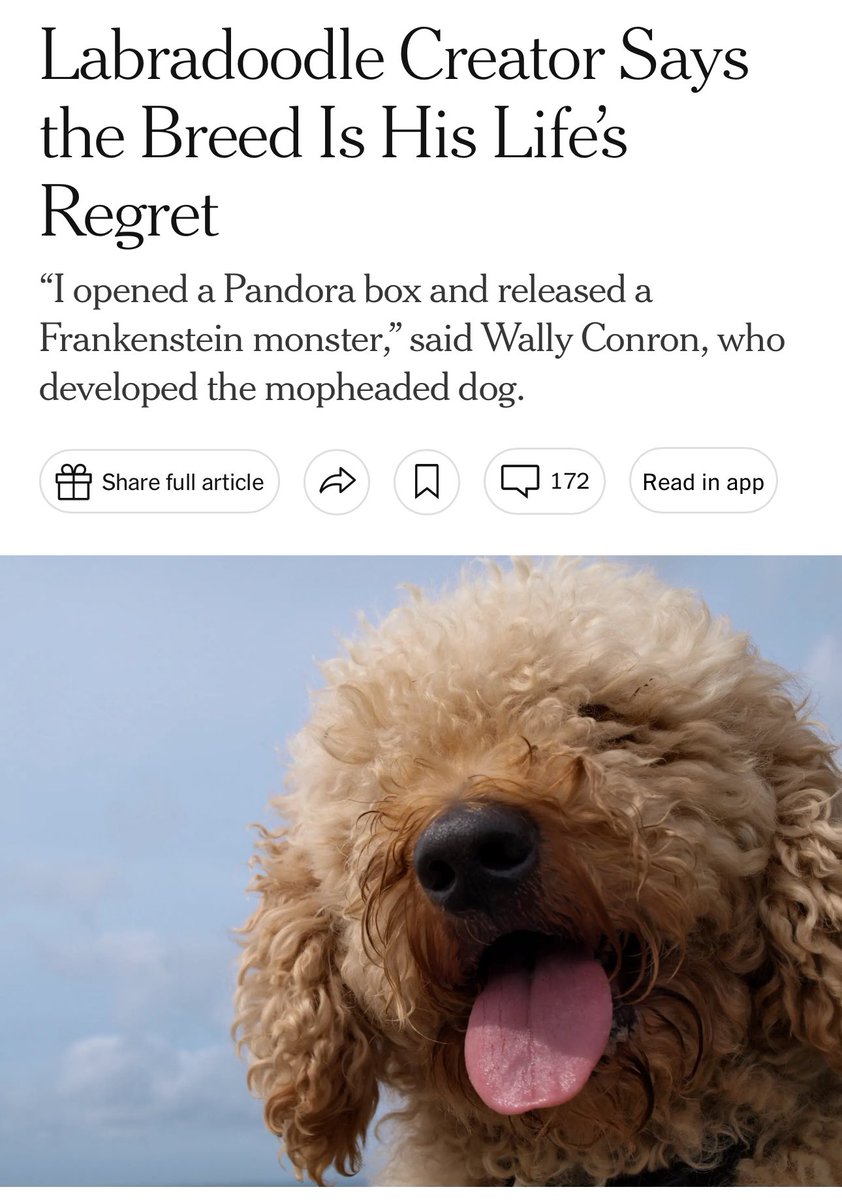 DaveScheidt's tweet photo. This should be the plot of Oppenheimer 2. https://t.co/h2NvBDrNbJ