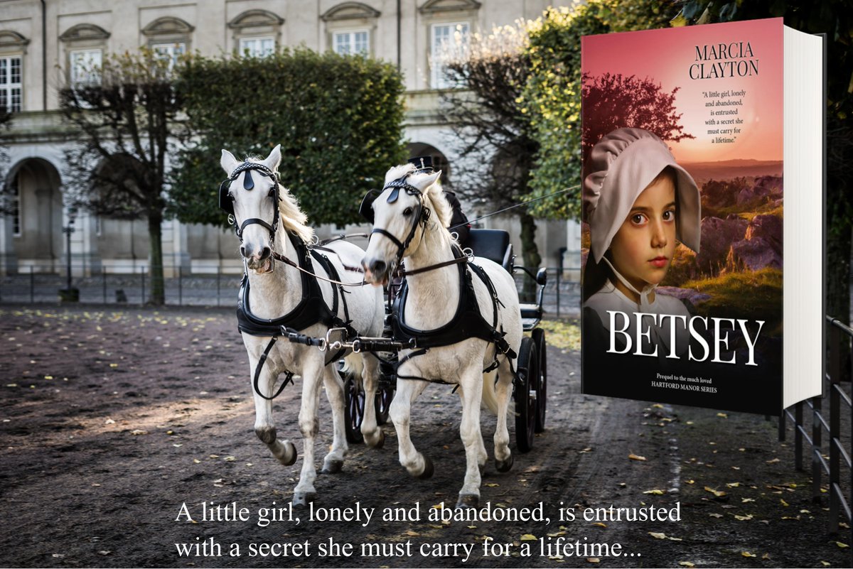 The Carter family have owned The Red Lion Inn for generations, but as one disaster after another befalls them they are left facing a debtor’s prison. A heartwarming family saga set in 1820 in a Devon village. mybook.to/Betsey #booksworthreading #womensfiction #greatreads