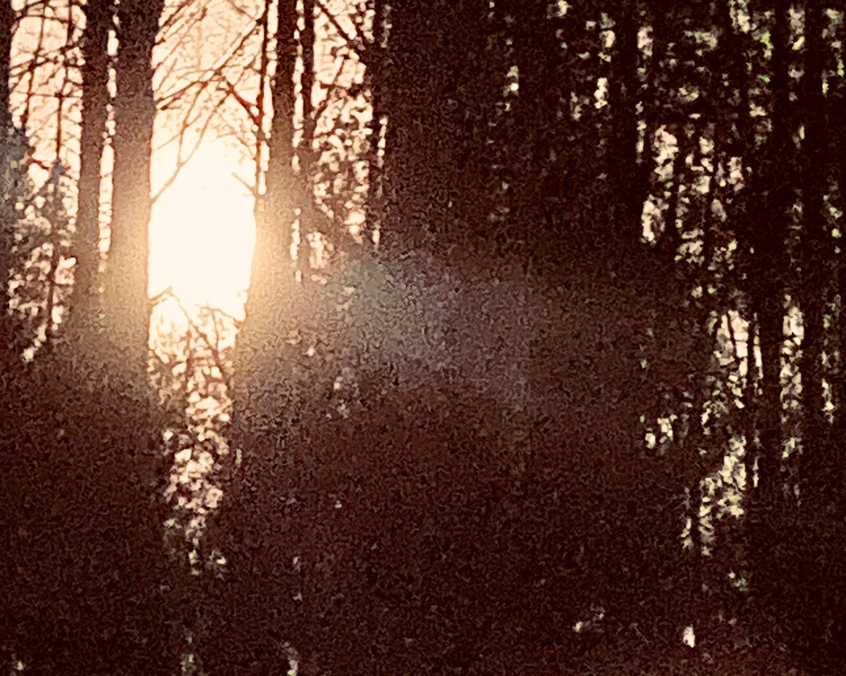 TealSeptember's tweet photo. Last nights #PinkMoon , #fullmoon . April,23,2024 #moon #moons #moonlight #fullmoons #Nightsky #fullpinkmoon #nightskies #nighttime #NorthCarolina https://t.co/IRfICH0JOx
