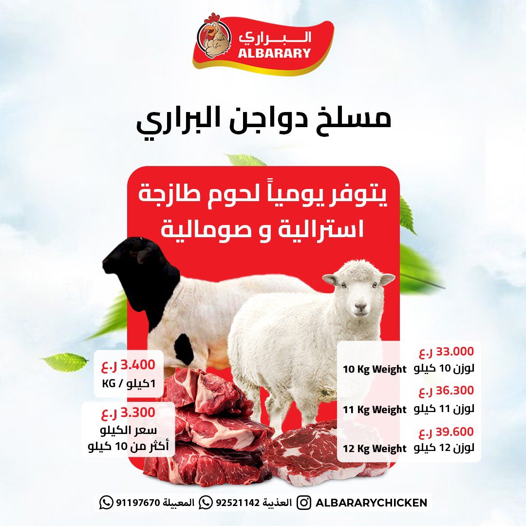 ALBARARY Chicken | دجاج البراري tweet media