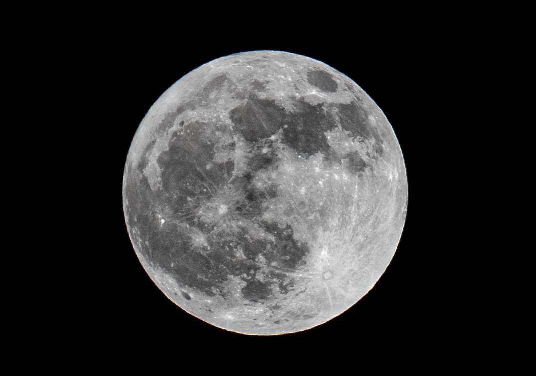 The 'Pink' Full Moon last night. Taken from our garden in Selsey. @BBCSouthWeather @itvmeridian @BBCSussex @AlexisGreenTV @HollyJGreen @PhilippaDrewITV @ExpWestSussex @DavidBflower @greatsussexway @VisitSEEngland