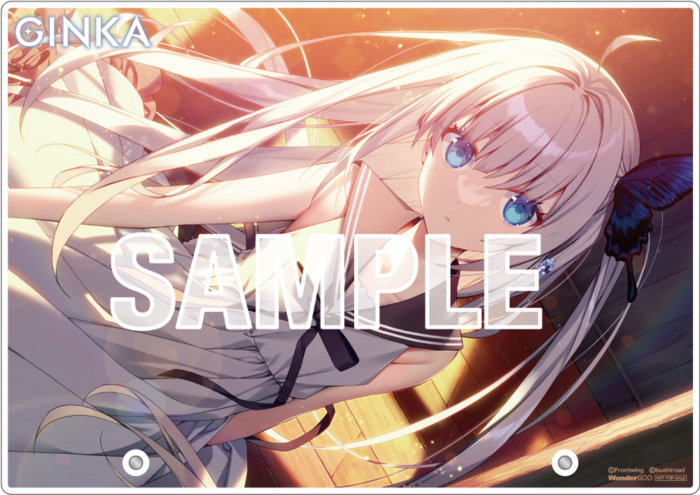 GINKA 特装版/WonderGOOオリジナル限定セット/Switch版
