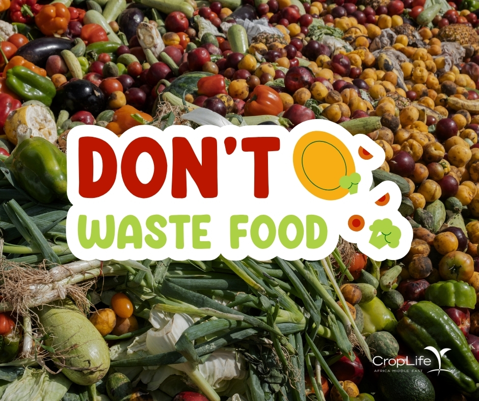 This #StopFoodWasteDay, join CLAME in taking action to reduce the ⅓ of food wasted globally. In AME, this waste is particularly concerning. Plan meals, store food properly, use leftovers, and compost scraps to build a more sustainable & equitable food system.