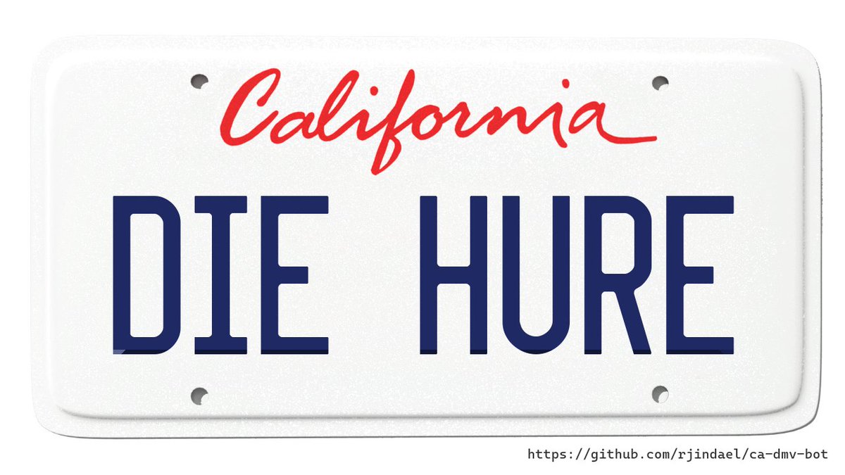 Customer: (not on record)
DMV: DIE WHORE IN GERMAN

Verdict: DENIED