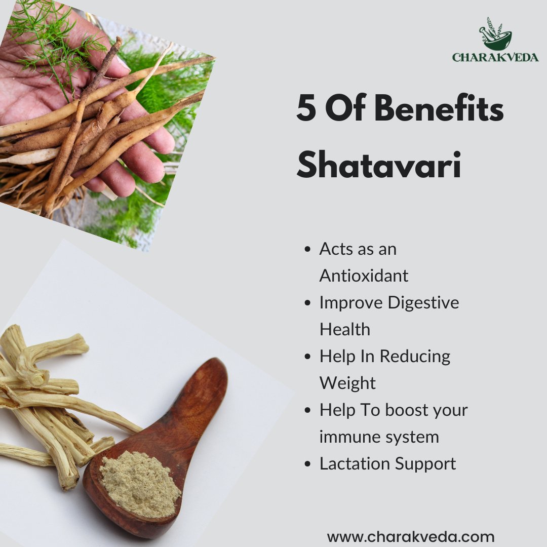 Shatavari is an herb in Ayurveda known for its antioxidant properties. It may aid digestion, lactation, and hormonal balance in women .
.
.
Visit : charakveda.com
.
.
#charakveda #ayurveda #health #healthcare #healthtips #healthylife #healthiswealthlifestyle