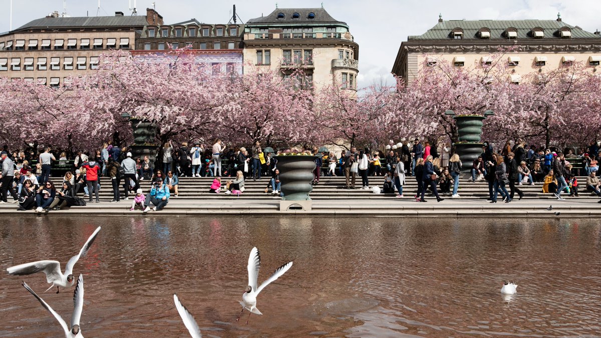 Today we announced the financial results for the first quarter 2024, as seasonally soft quarter in line with expectations. See press release: intrum.com/press/press-re…