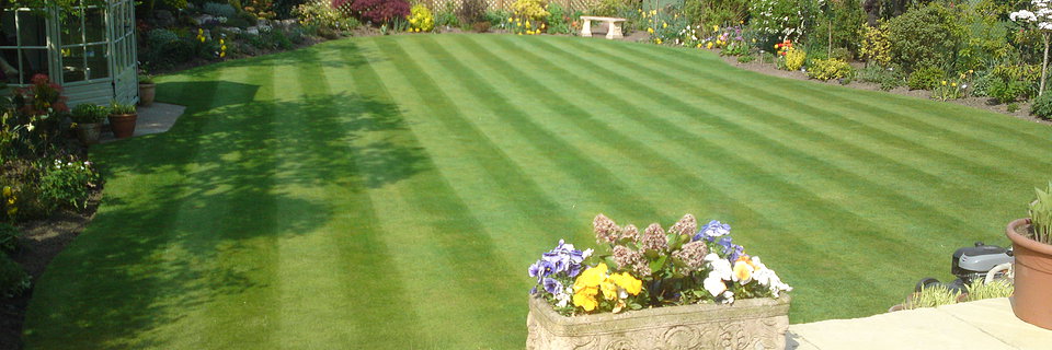 Preparing Your Lawns for Spring

A well-maintained lawn in enhancing the aesthetic appeal and value of any property. Here are some essential tips to prepare your lawns for the vibrant months ahead: ow.ly/gGu050RkSxg

#PropertyManagement #BlockManagement #FacilityServices