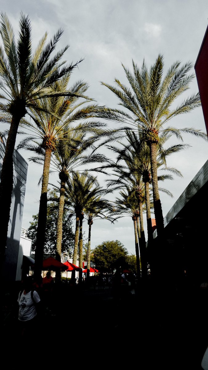 _ErinCates's tweet photo. where the stars live ✨✨ https://t.co/dm8ieO7ghC
